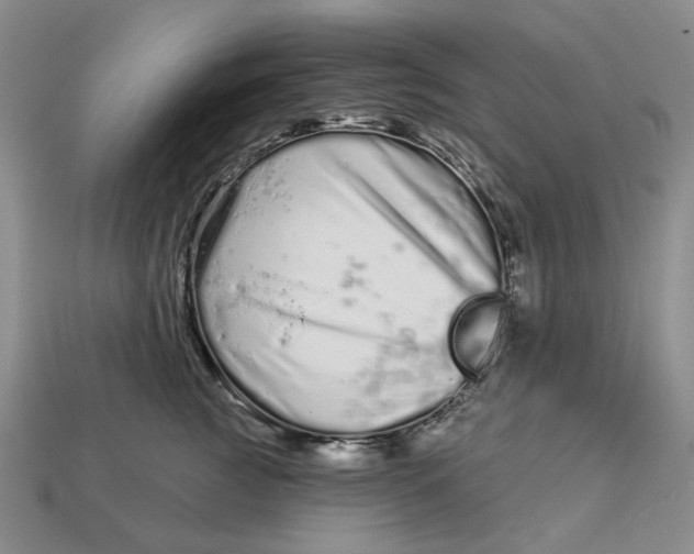 X0000112720761200909101446