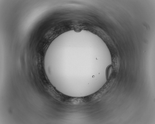 X0000112720762200909101446