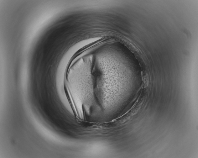 X0000112720764200909101446