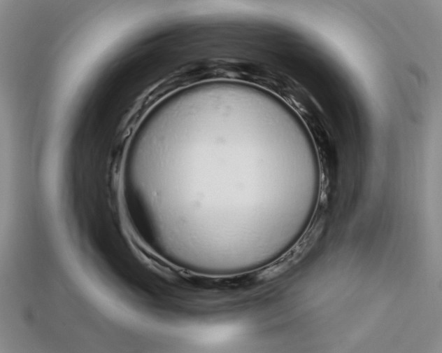 X0000112720765200909101446