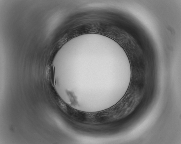 X0000112720766200909101446