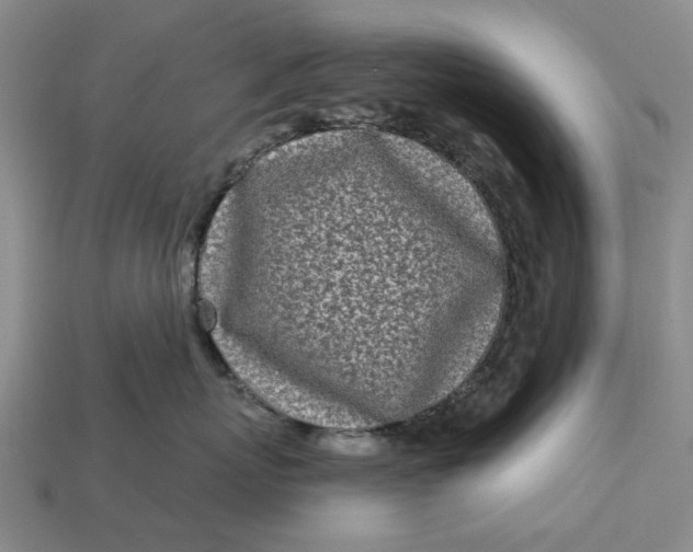 X0000112720767200909101446