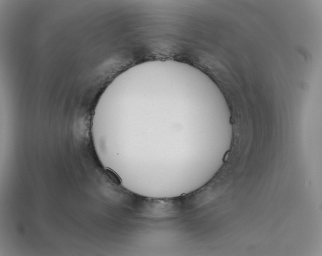 X0000112720768200909101447