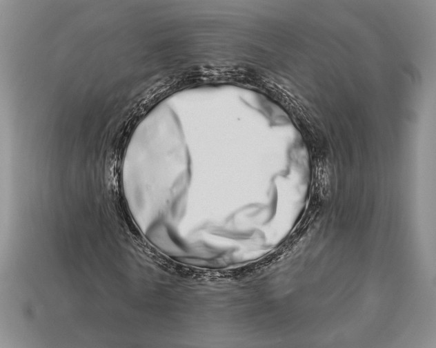 X0000112720770200909101446