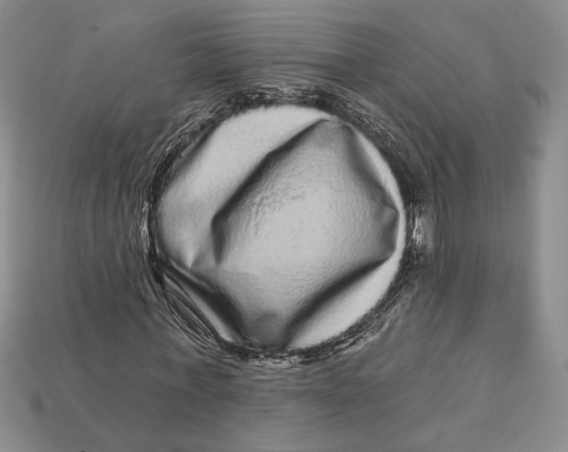 X0000112720771200909101446