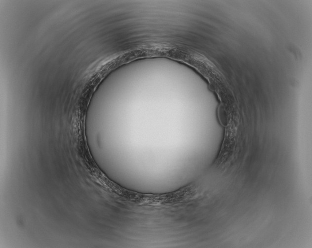 X0000112720773200909101446