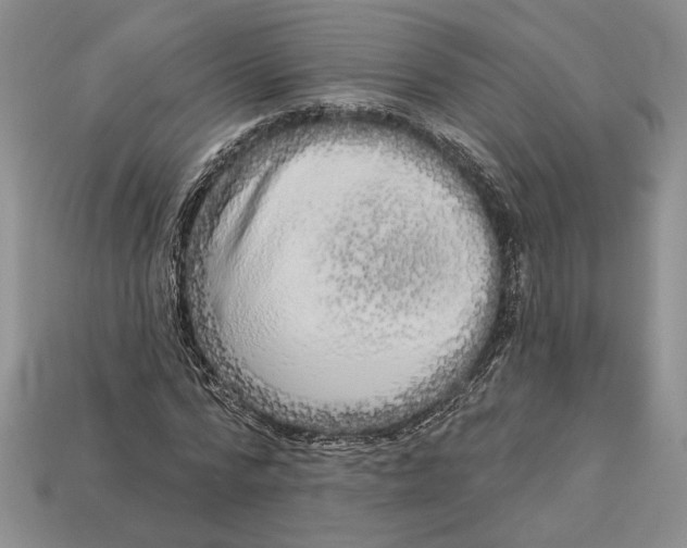 X0000112720776200909101446