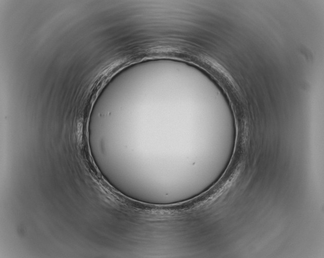 X0000112720777200909101446