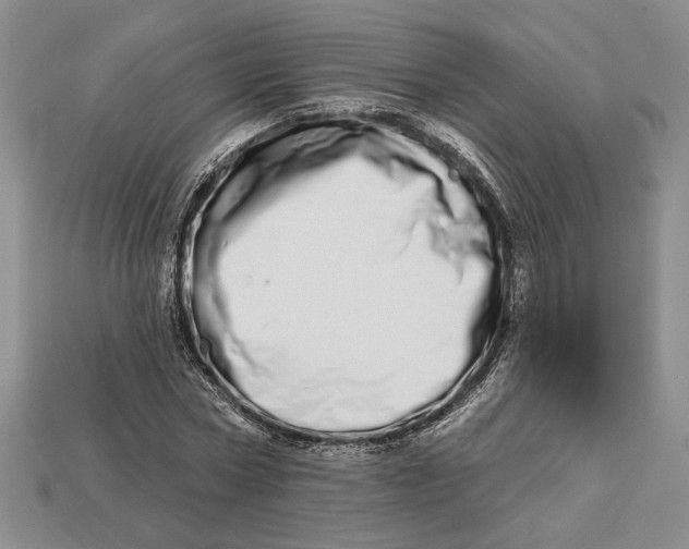 X0000112720778200909101446