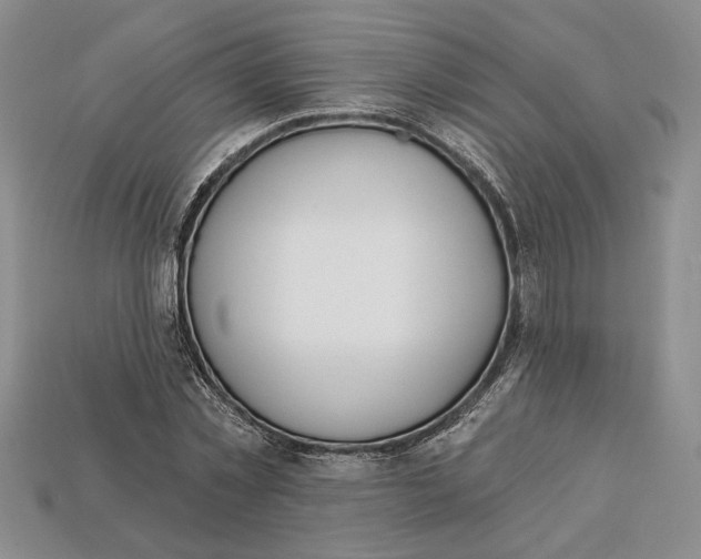 X0000112720781200909101446