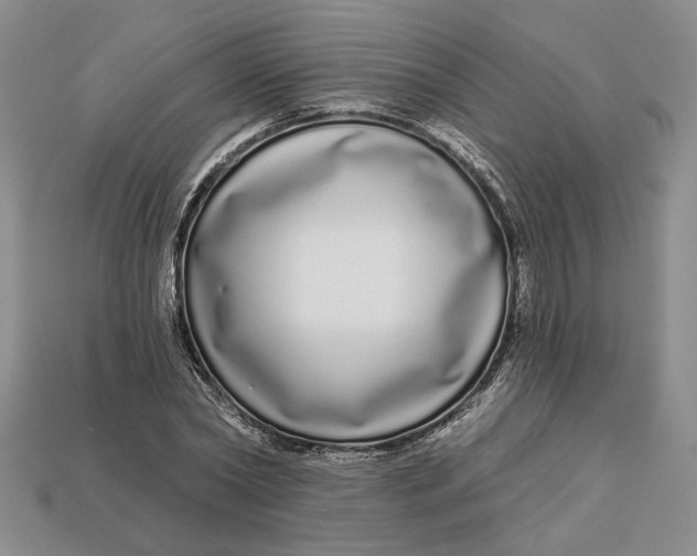 X0000112720782200909101446