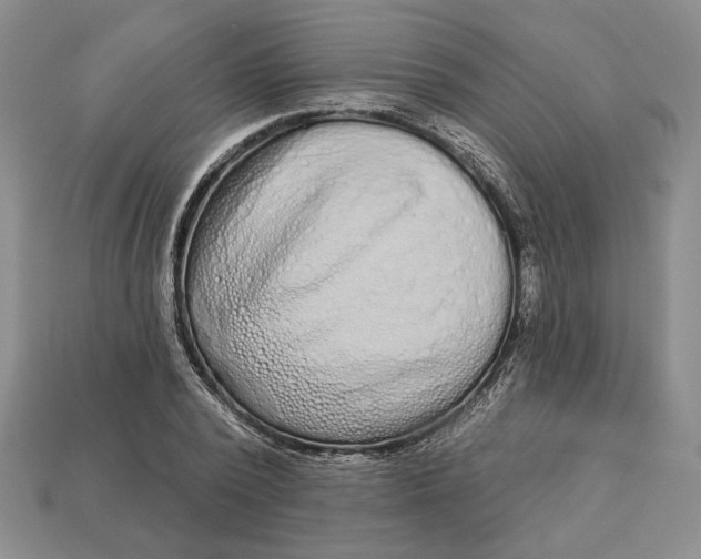 X0000112720784200909101446