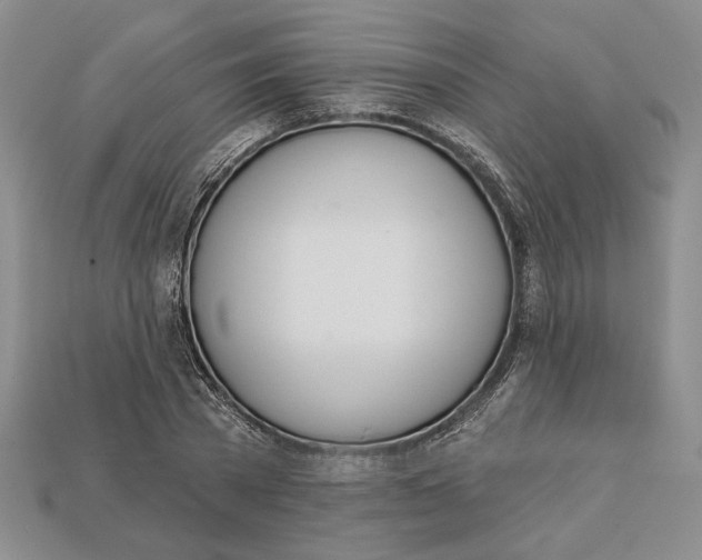 X0000112720785200909101445