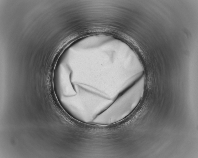 X0000112720786200909101445