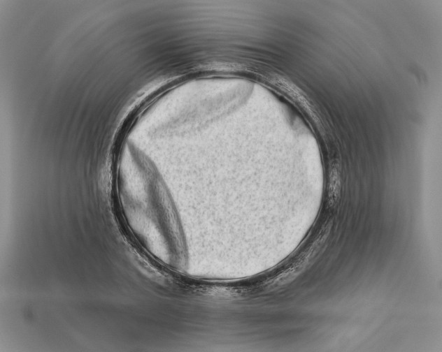 X0000112720787200909101445