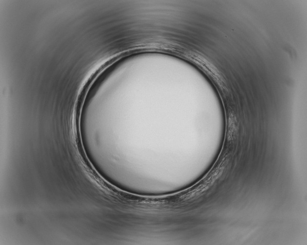 X0000112720788200909101445