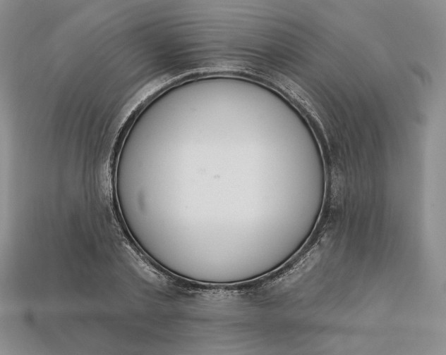 X0000112720789200909101445