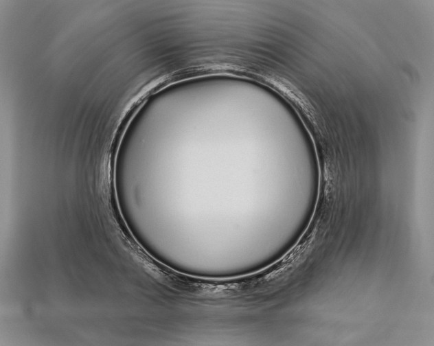 X0000112720790200909101445