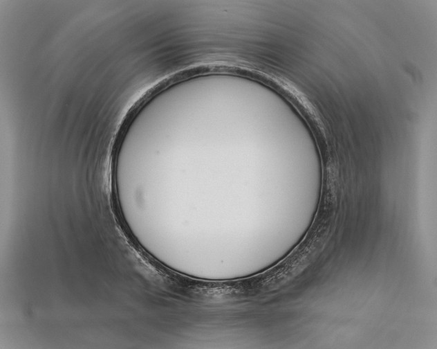 X0000112720791200909101445