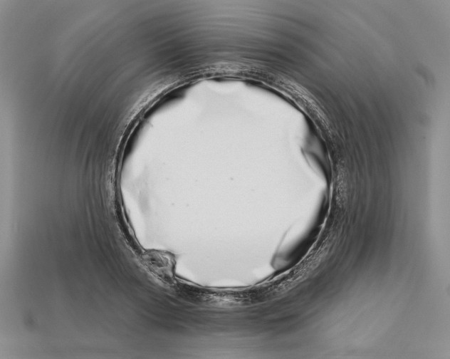 X0000112720794200909101445