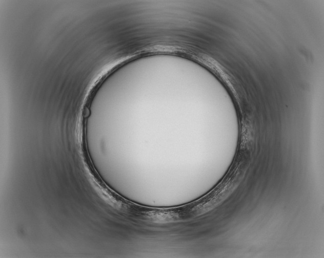 X0000112720795200909101445