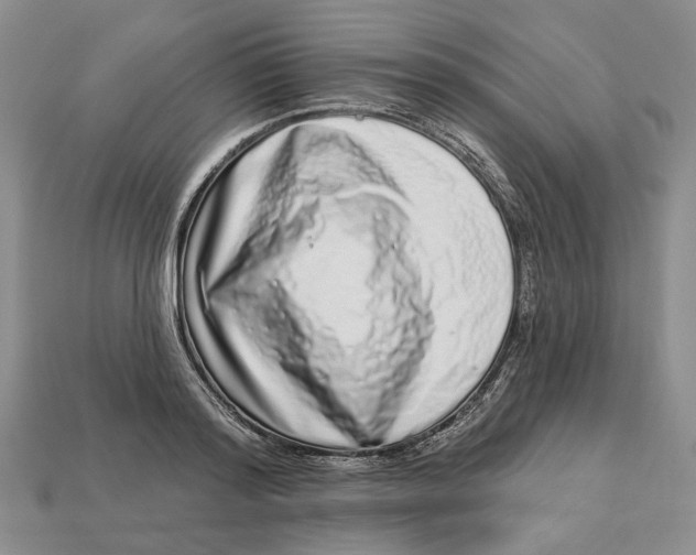 X0000112720796200909101445