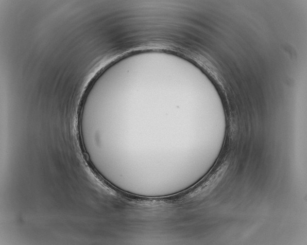 X0000112720797200909101445