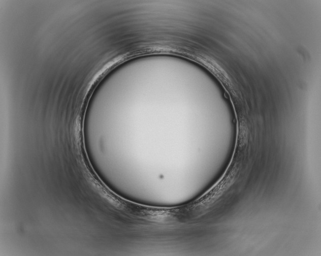 X0000112720798200909101445