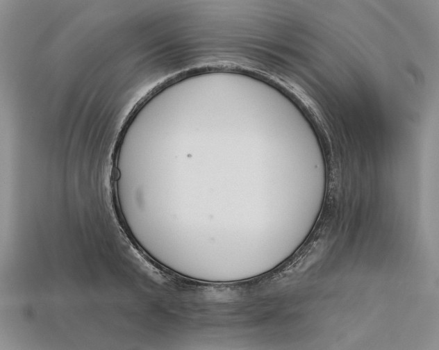 X0000112720799200909101445