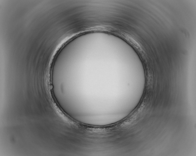 X0000112720800200909101445