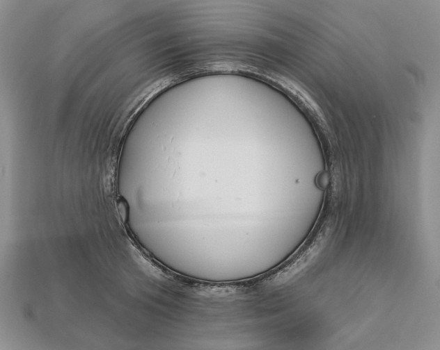 X0000112720801200909101445