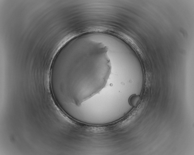 X0000112720802200909101445