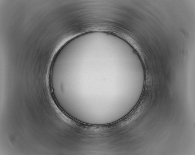 X0000112720803200909101445