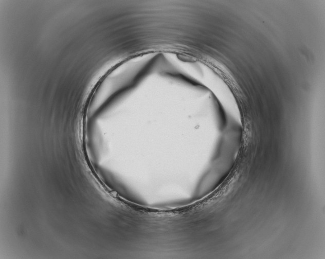 X0000112720804200909101445