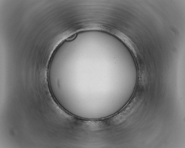 X0000112720805200909101445