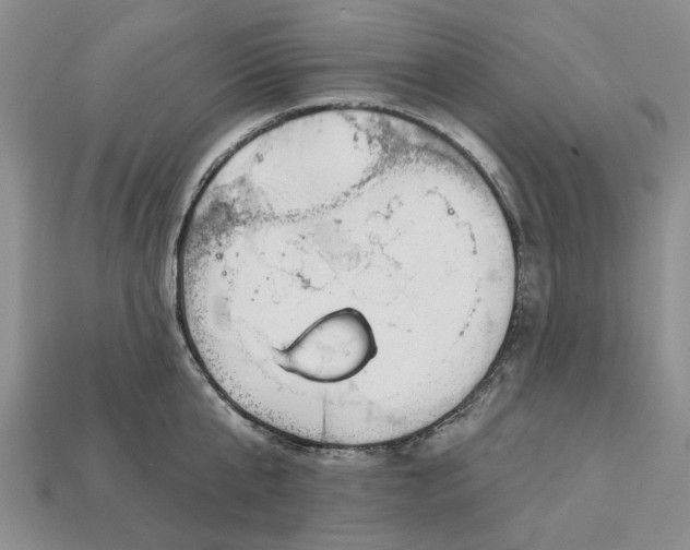 X0000112720807200909101445