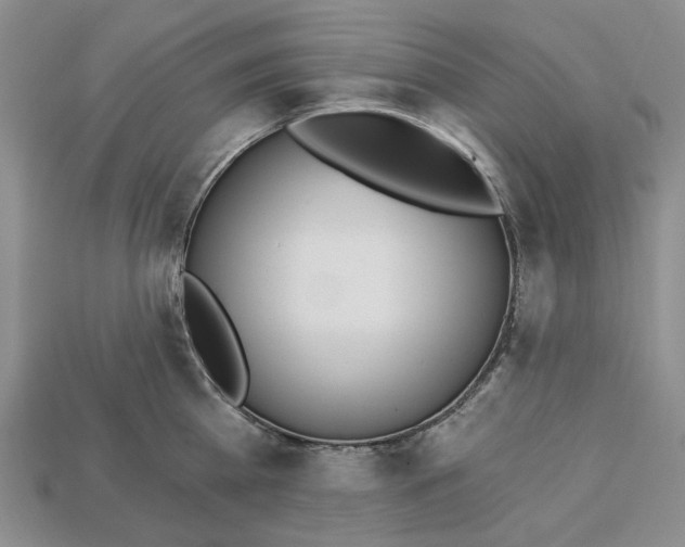 X0000112720809200909101445