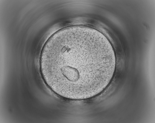 X0000112720810200909101445