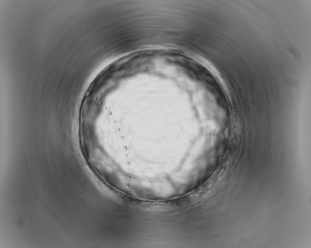 X0000112720811200909101445