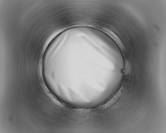 X0000112720812200909101445