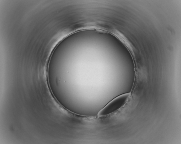 X0000112720813200909101445