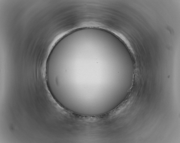 X0000112720815200909101445