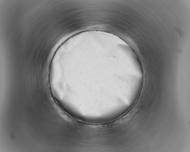 X0000112720816200909101445