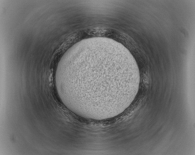 X0000112720818200909101444