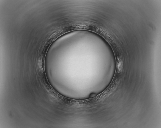 X0000112720819200909101444