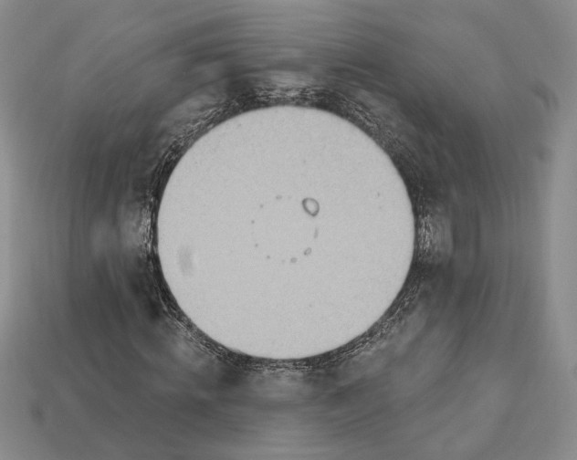 X0000112720820200909101444