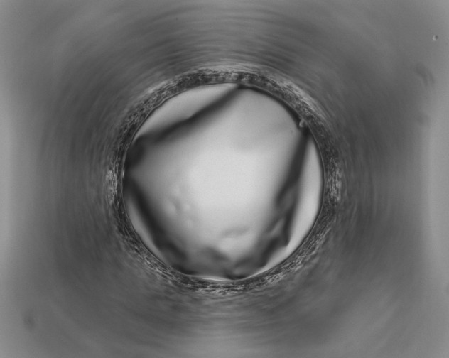 X0000112720821200909101444