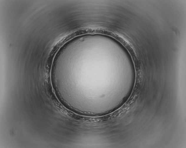 X0000112720823200909101444