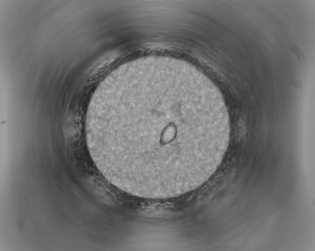 X0000112720824200909101444