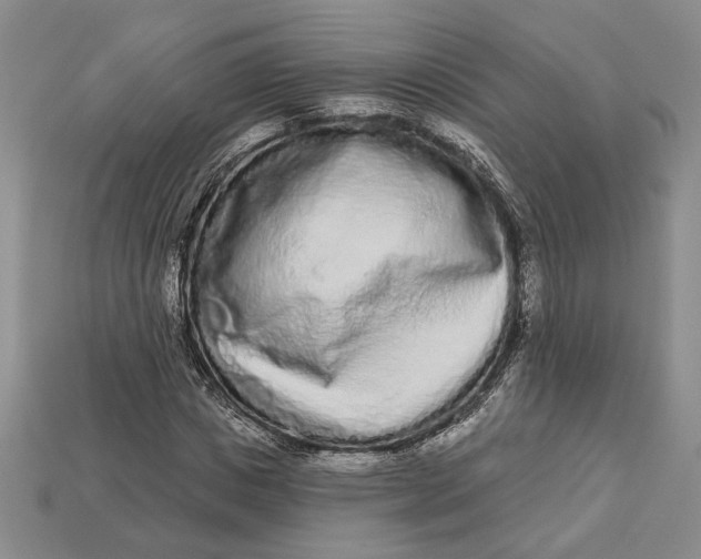 X0000112720825200909101444